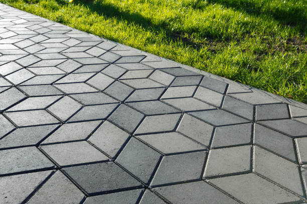 Best Professional Driveway Pavers  in Buies Creek, NC