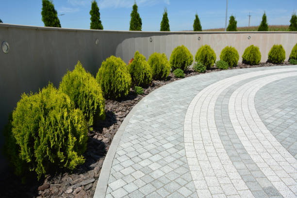 Best Brick Driveway Pavers  in Buies Creek, NC
